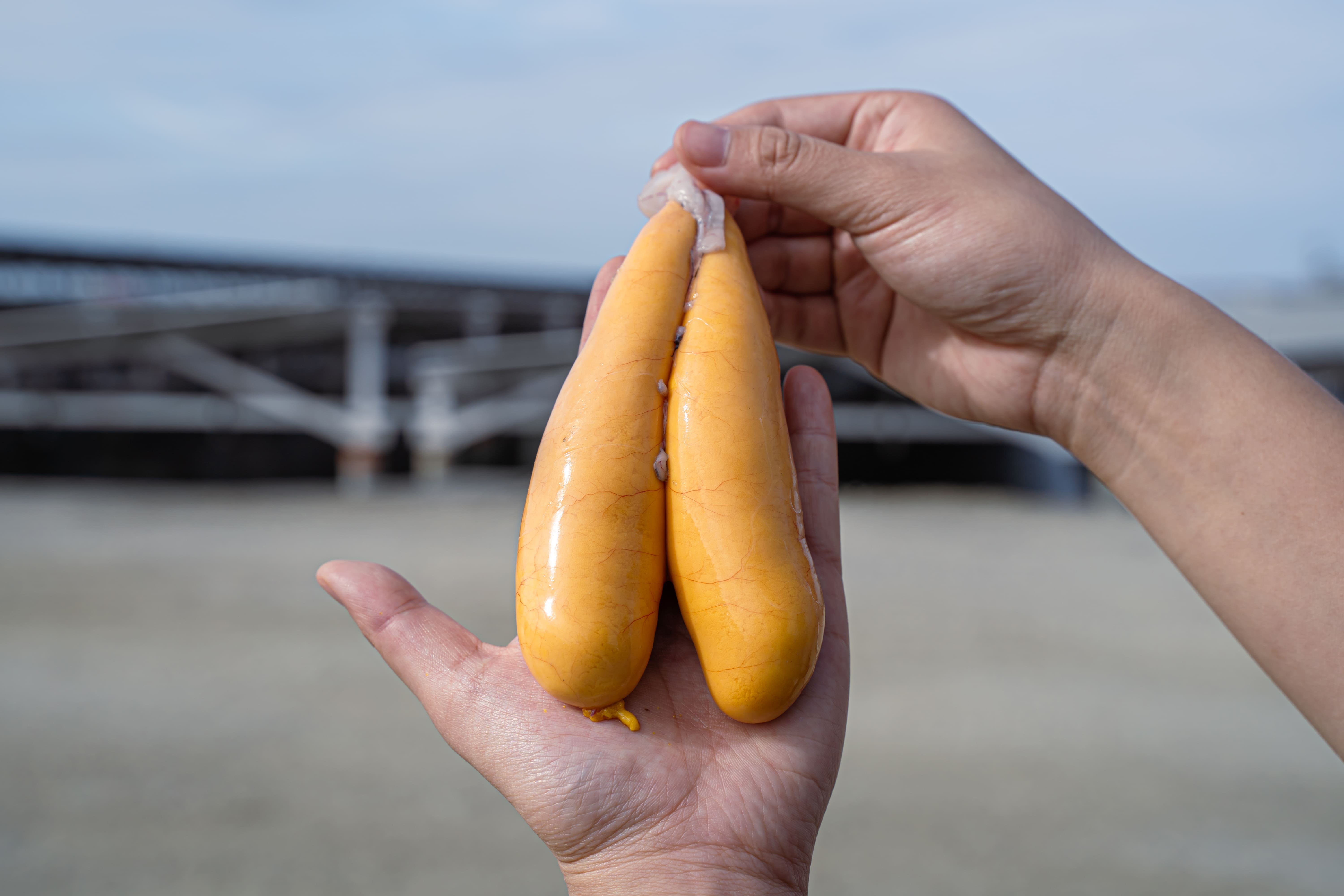 6687a2a81ec99422728588